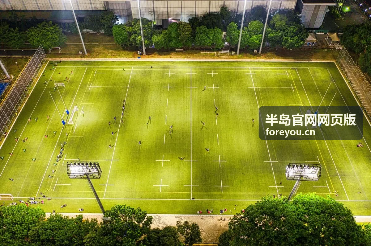 半岛经济季度报告发布：区域GDP稳步增长